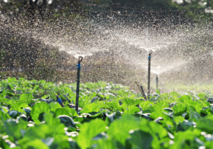 sprinkler-pipe-manufacturer-in-india